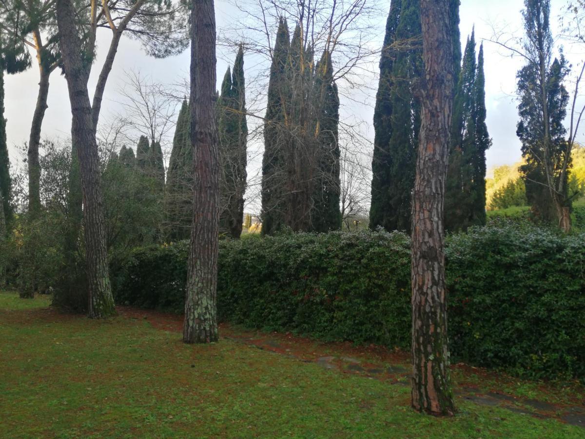 La Casa Di Duccio Con Parcheggio Gratuito Leilighet Firenze Eksteriør bilde